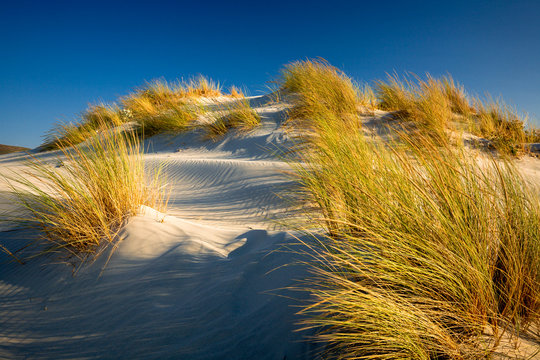 Dune di Porto Pino, Teulada, Sardegna