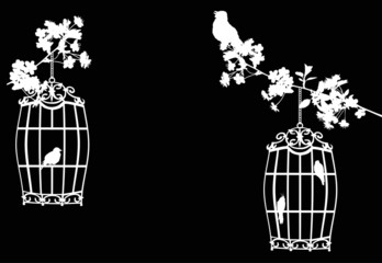 tree branches and birds in cages on black