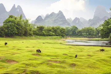 Gordijnen Plattelandslandschap in Yangsho, China © TravelWorld