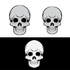 Black and gray skull vector
