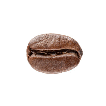 Single coffee bean isolated on white