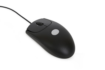 Black Mouse