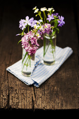 Bouquet of spring flowers