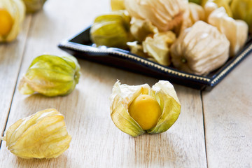 Cape Gooseberry