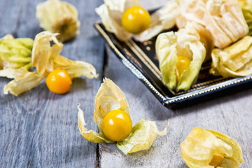 Cape Gooseberry