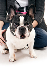 Woman with her dog playing