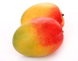 two mango fruit over white