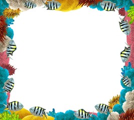 The coral reef - frame - border © honeyflavour