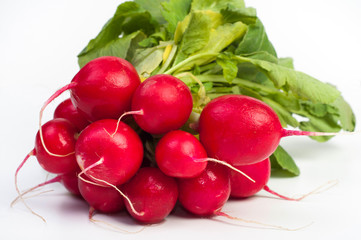 Radish