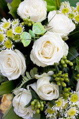 Fleurs rose blanches
