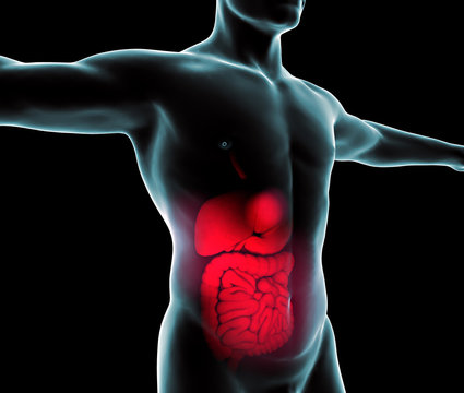 Uomo intestino raggi x apparato digerente