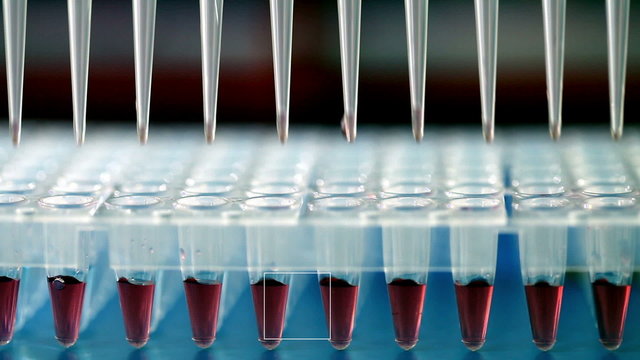 Use multi pipette in microbiology