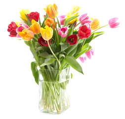 Colorful tulips in a glass vase isolated on a white background