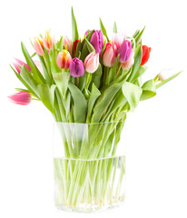 Colorful tulips in a glass vase isolated on a white background