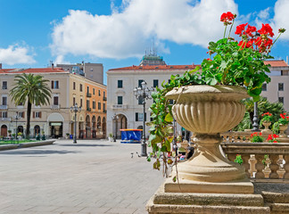 flower pot in Sassari