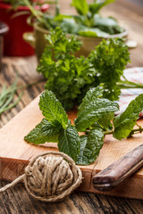 Fresh mint