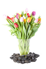 Fototapeta na wymiar Colorful tulips in a glass vase isolated on a white background