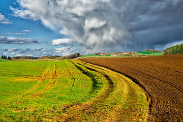 landwirtschaft