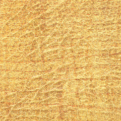 old leather texture