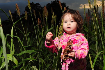 Victoria en el Sorgo