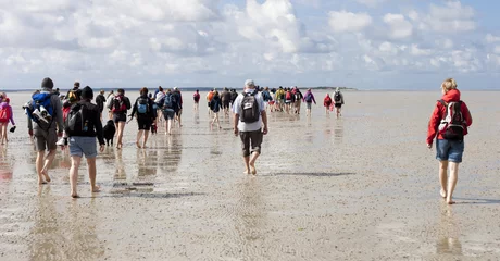 Fotobehang Wadloopwandeling © REMINDFILMS