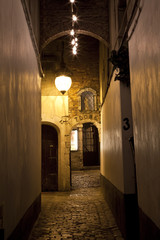 Alleyway Leading to Theater Toone in Brussels.