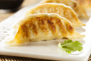 Homemade Asian Vegeterian Potstickers