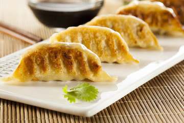 Homemade Asian Vegeterian Potstickers