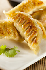 Homemade Asian Vegeterian Potstickers