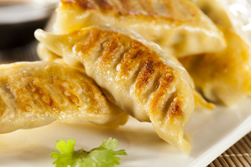 Homemade Asian Vegeterian Potstickers