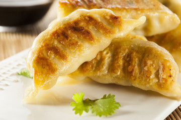 Homemade Asian Vegeterian Potstickers