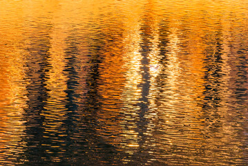 Water reflections