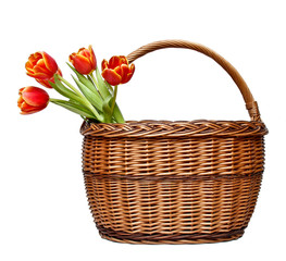 Fototapeta na wymiar Basket with blooming tulips