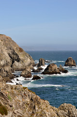 Vertical rocky shoreline near Bodega Bay on the California coast