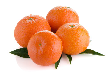 Ripe tangerines or mandarin