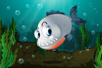 Een vis met grote tanden onder de zee