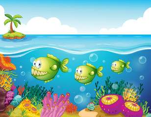 Three green piranhas under the sea
