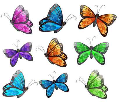 Nine colorful butterflies