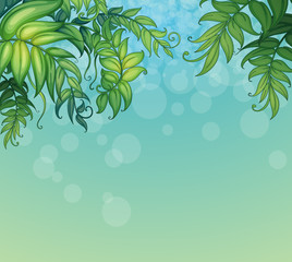 A blue background with green leafy plants