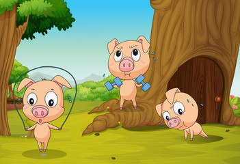 Drie varkens in het bos
