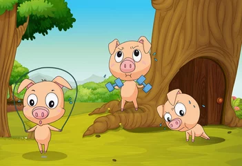 Gardinen Drei Schweine im Wald © GraphicsRF