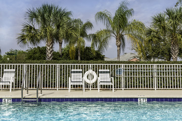 Swimming pool against palms in