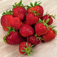 Erdbeeren - Fragaria