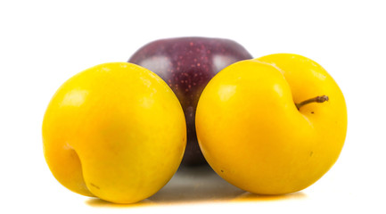 Mirabelle and damson plum with white background