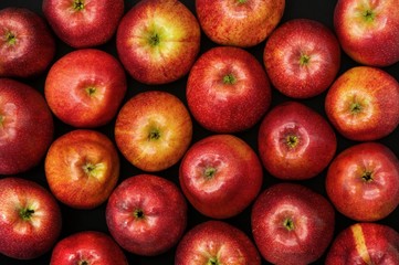 fruit on black