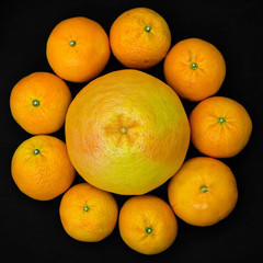 Citrus fruits