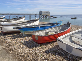 Obraz premium selsey
