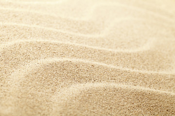 Sand Background - obrazy, fototapety, plakaty