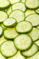 Freshly sliced cucumber  isolated on white background