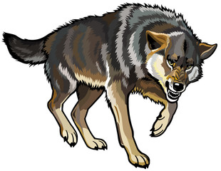 Naklejka premium attacking wolf